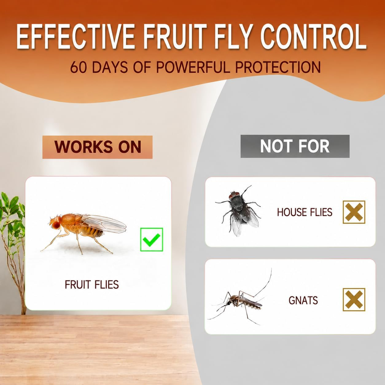 Fruit Fly Traps for Indoors: Fruit Fly and Drain Fly Traps Indoor – Reusable Esc