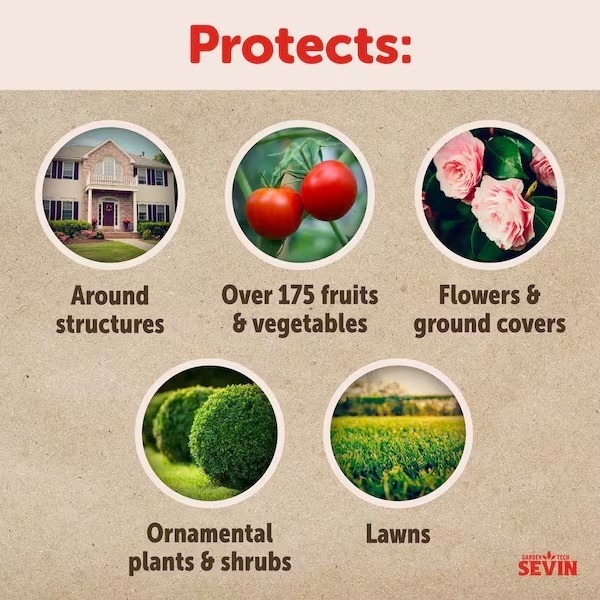 Sevin 20lbs Upto 20,000 sq ft. Lawn & Garden Insect Killer Ready to Use Granules