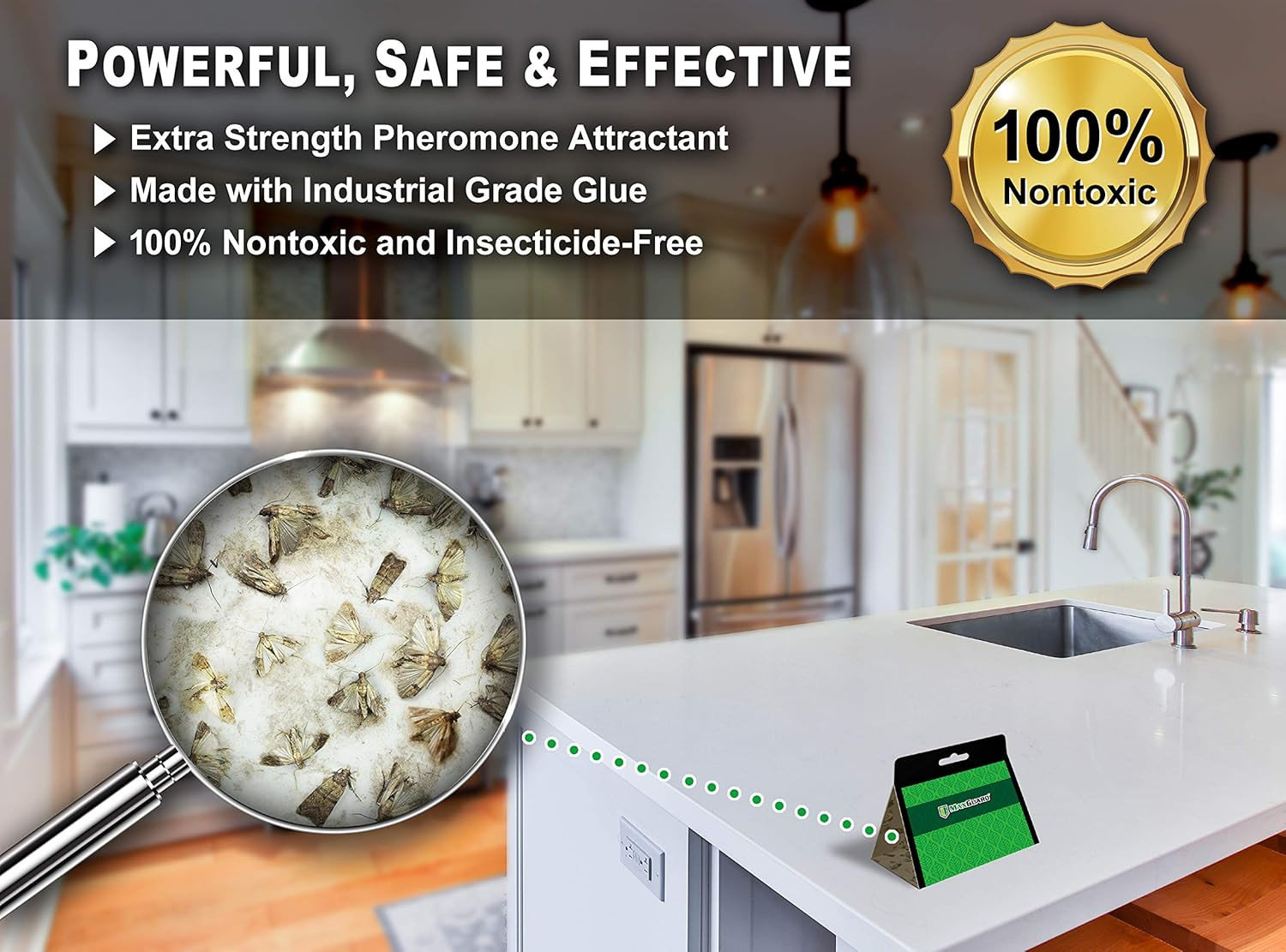 Maxguard Pantry Moth Traps (24 Pack) with Extra Strength Pheromones | Non-Toxic
