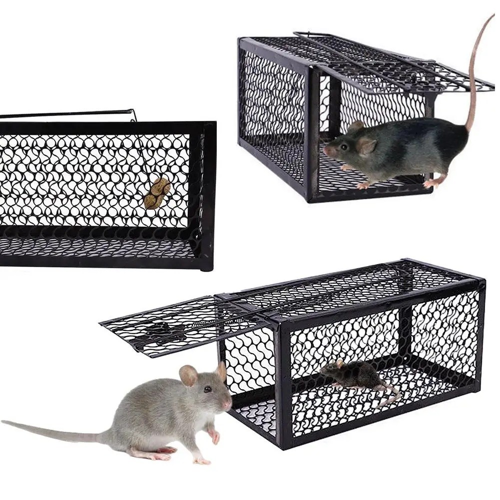 USA Mouse Trap Rat Trap Rodent Trap Live Catch Cage, Easy to Set Up and Reuse