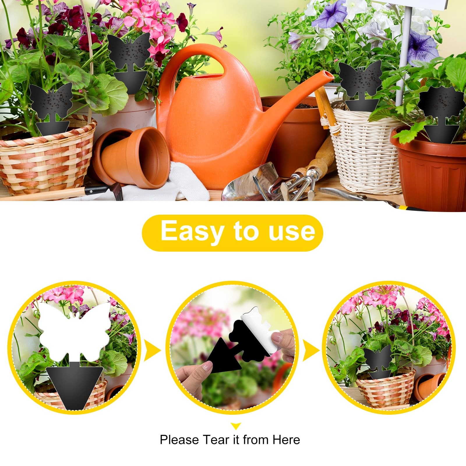 Fruit Fly Traps, 60 Pack Black Sticky Traps, Fungus Gnat Traps, Plant Fly