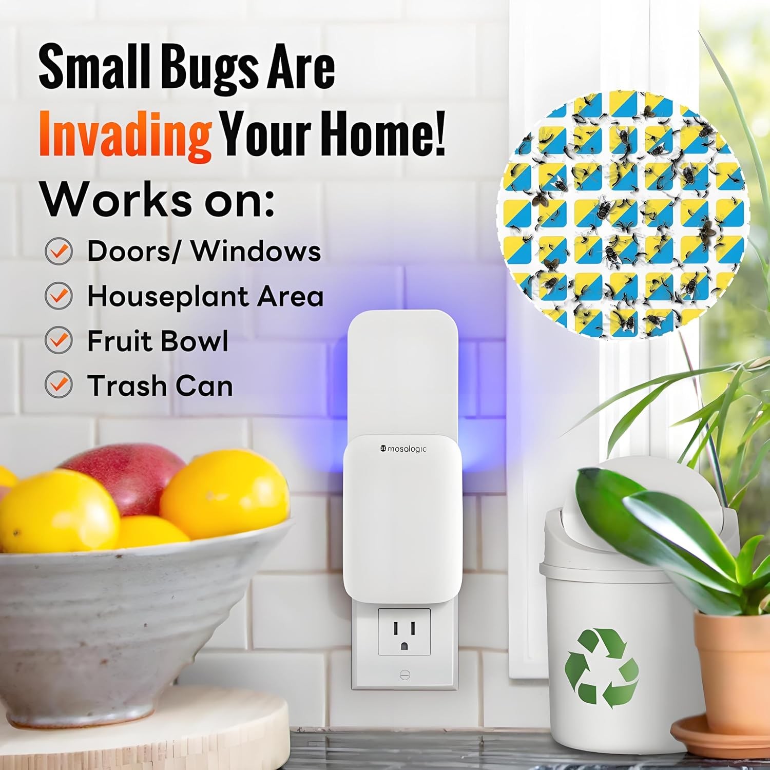 Fruit Fly Traps for Indoors Gnat Trap for House Indoor-600 Sqft Protection