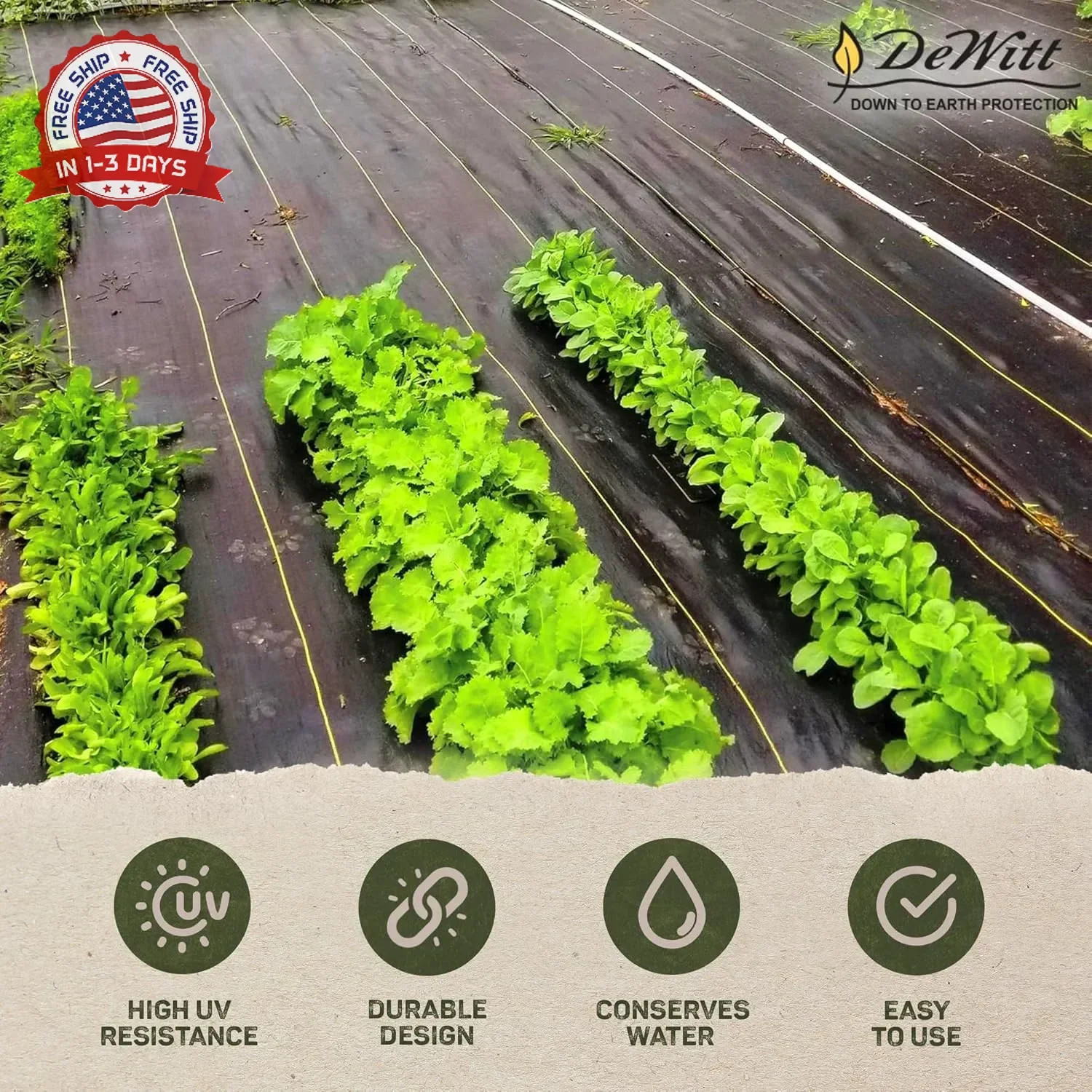 Dewitt Sunbelt Weed Barrier Fabric 3.2 oz, 6 x 300 Feet – Heavy-Duty Ground Cove