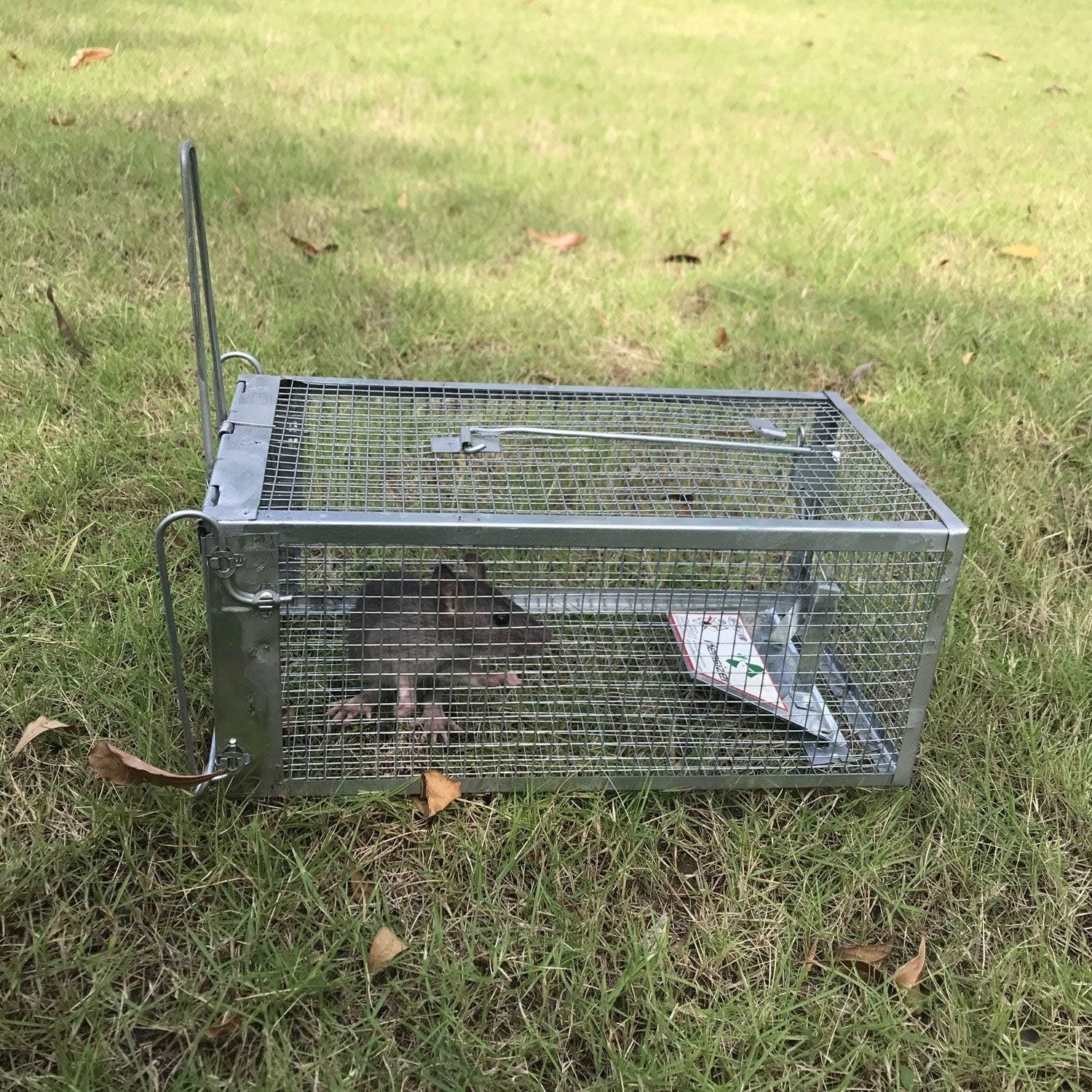 Lightweight Aluminum Chipmunk Trap – 10.5″ Catch and Release Design for Pests
