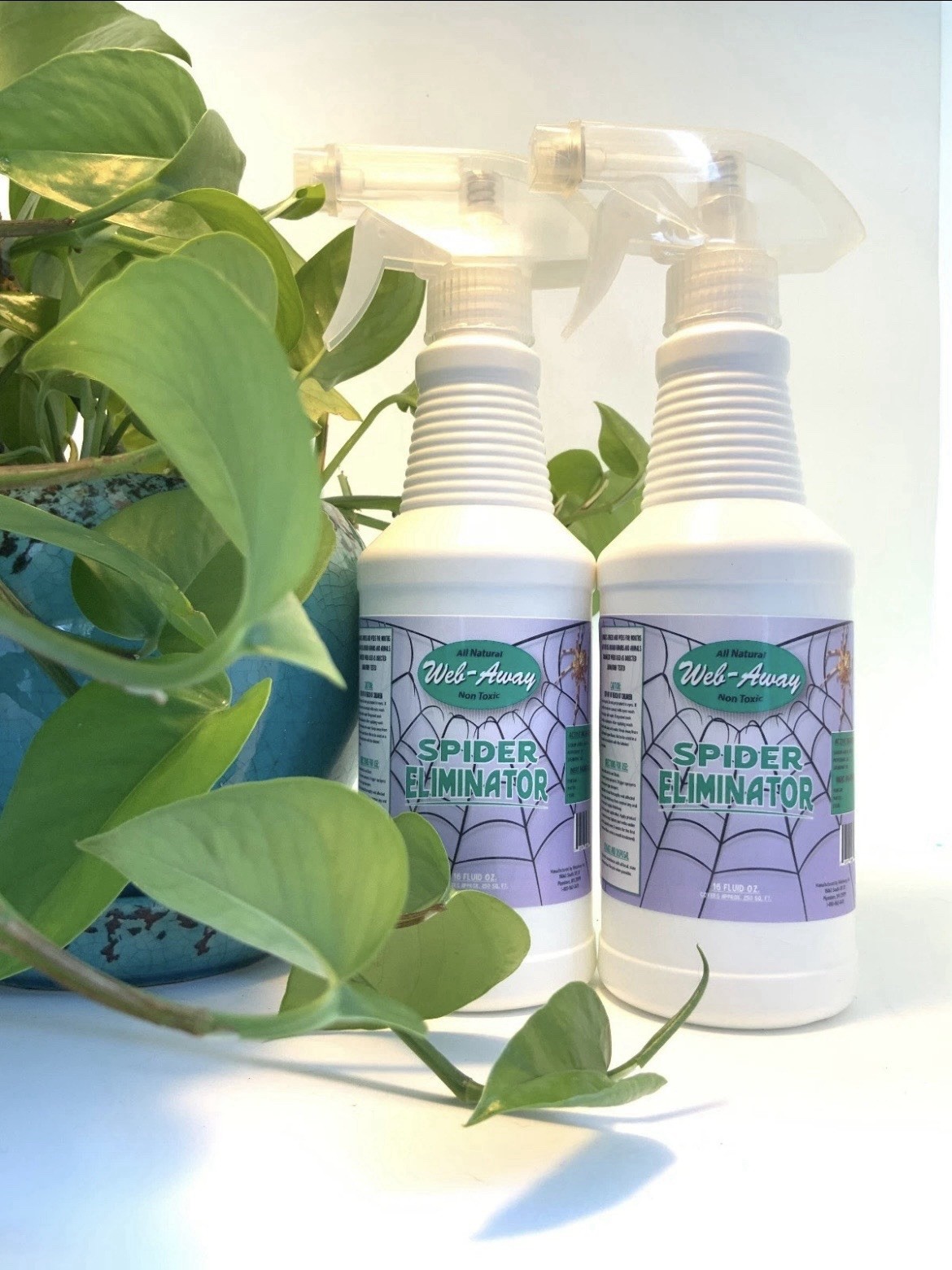 WebAway Natural Spider Repellent Spray-Non-toxic Web Eliminator Long Lasting
