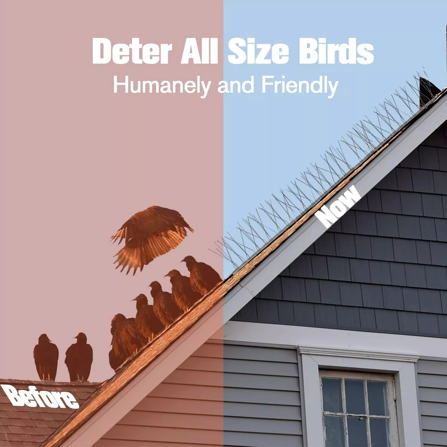 4Pcs Bird Spikes for Small Birds Pigeons Repellent 10FT (12 Strips) Fence Spike