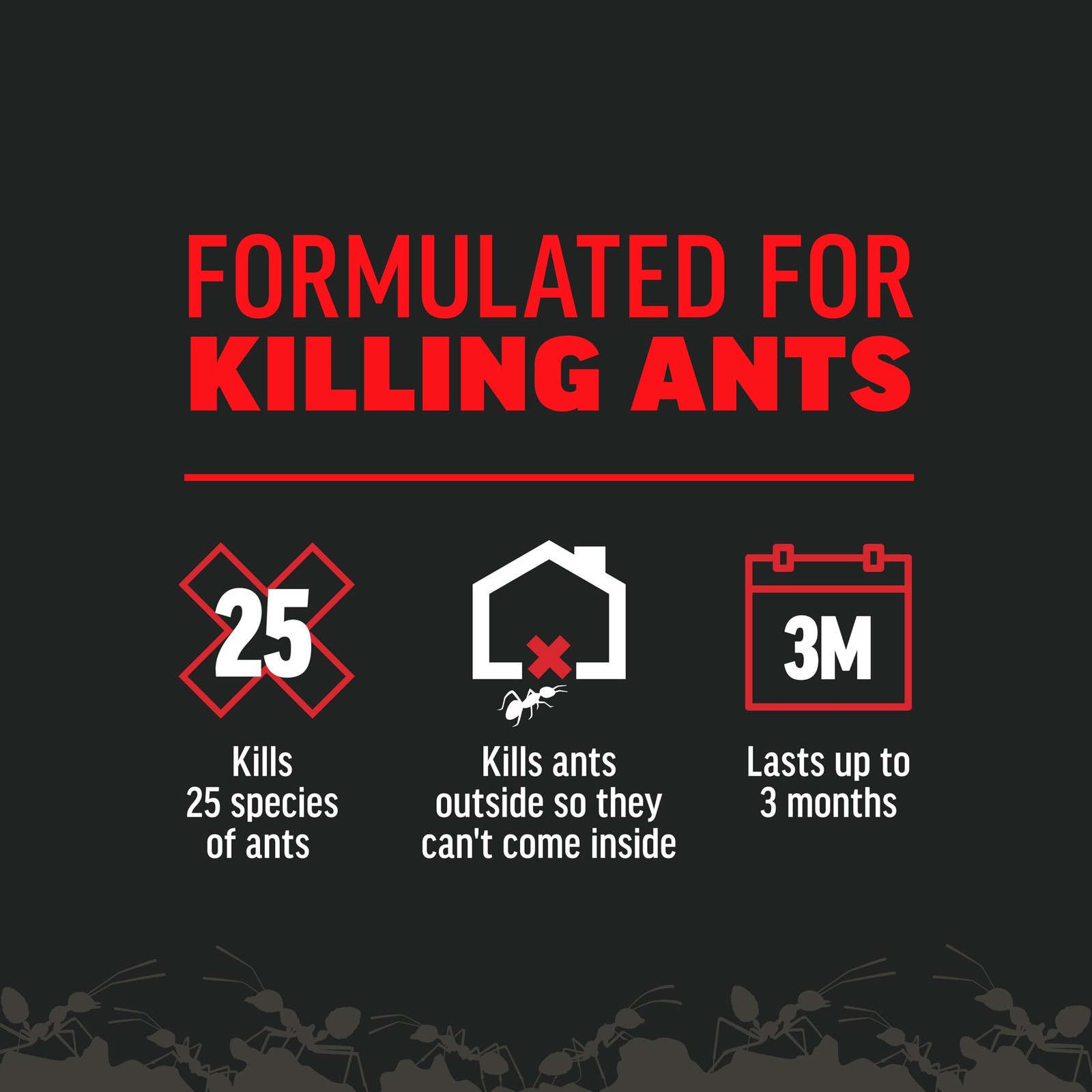 Amdro Ant Killer for Outdoor Home Perimeter, 12oz 12 Ounces
