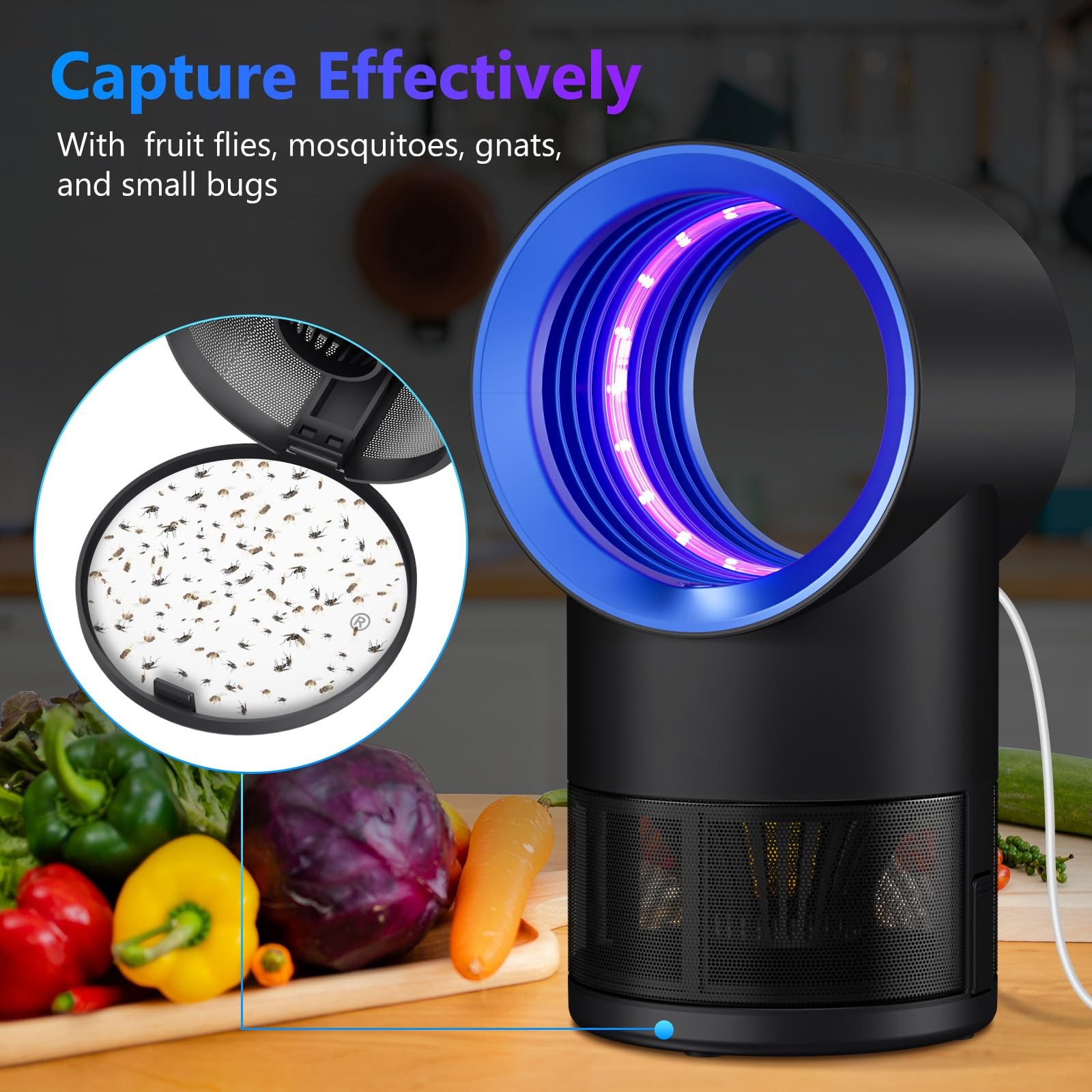 Fruit Fly Trap for Indoors Gnat Insect Trap with Timer 10 Refills Blue