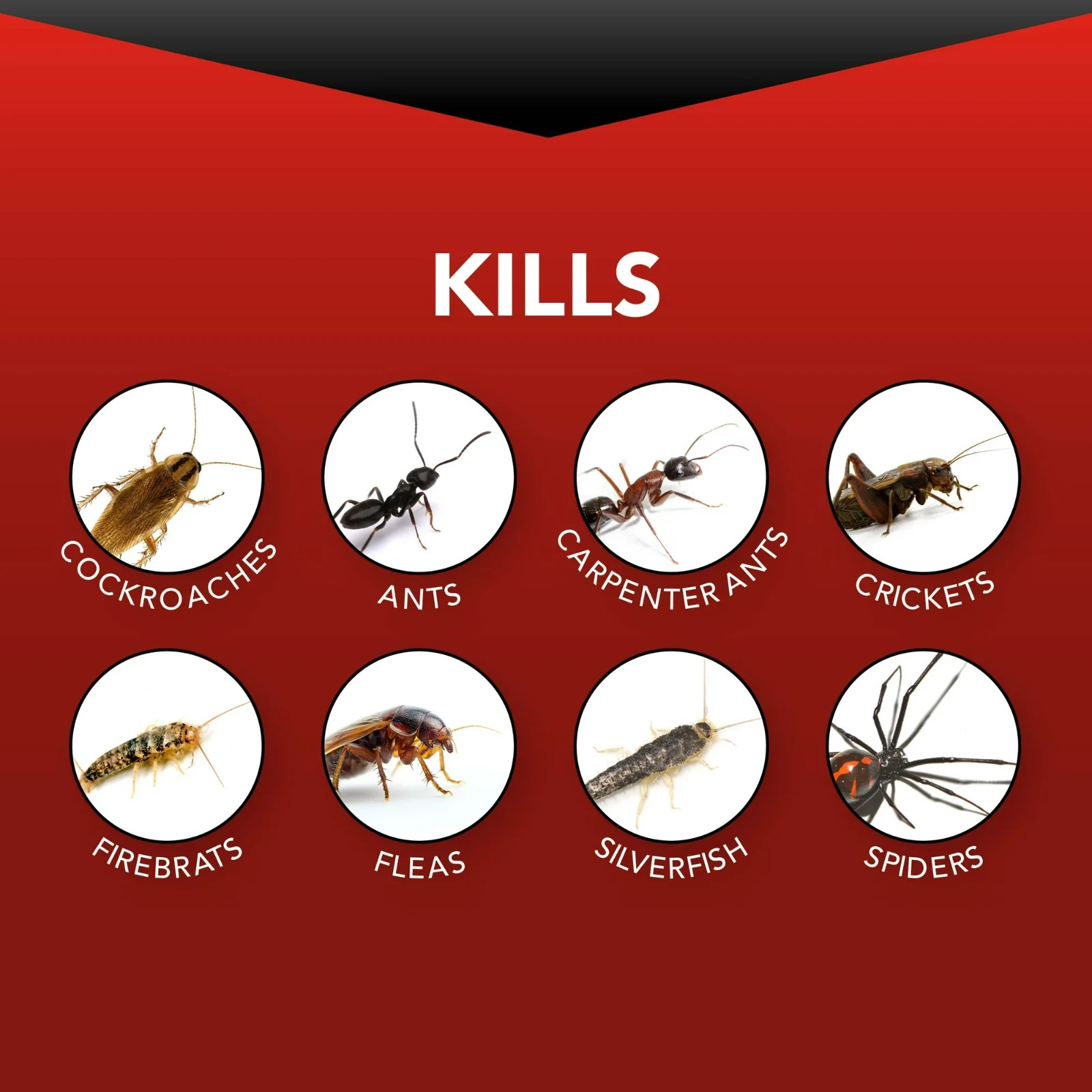 Eliminator Ant Roach & Spider Killer Aerosol Spray, Twin Pack, 17.5 oz Each