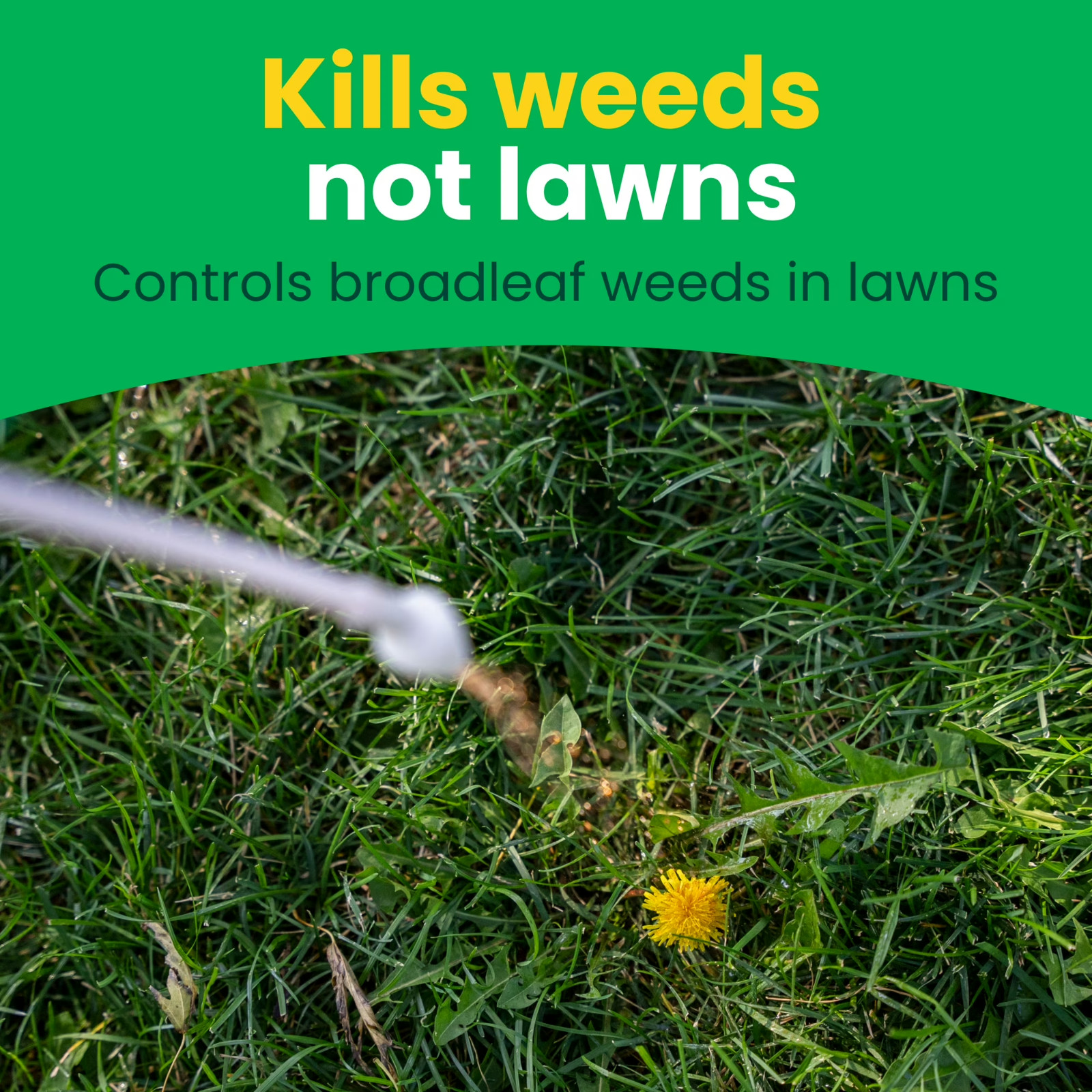 Sunday Dandelion Doom Lawn-Safe Weed Killer Selective Herbicide Spray 32oz