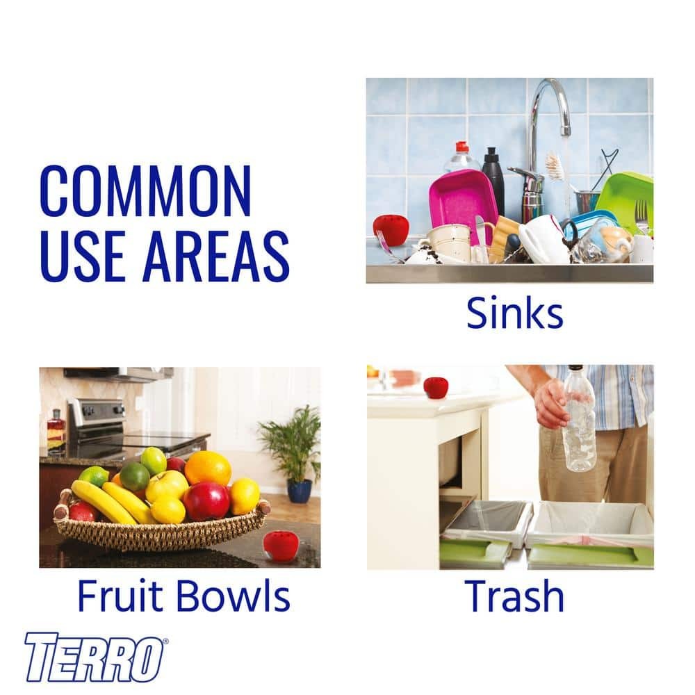 Indoor Fruit Fly Trap (4-Count)