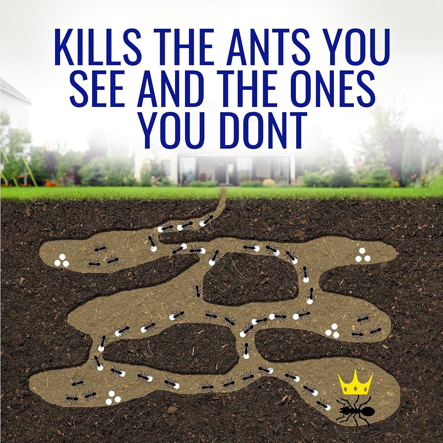 TERRO Liquid Ant Killer ll T200 – DO NOT SHIP TO CALIFORNIA