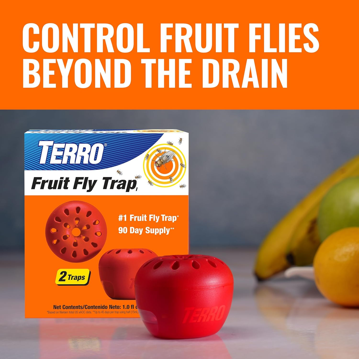 TERRO T590 Drain Insect Killer Foam 1-Pack – Indoor Infestation Treatment for Co
