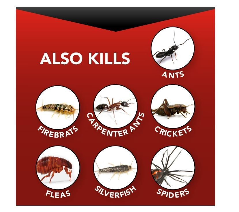 (2 Pack) Eliminator Indoor Ant, Roach & Spider Killer, Lemon Scent, 17.5 Ounces