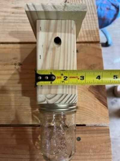 Best Carpenter Bee Trap Set Of 4 PRESSURE TREATED Handmade