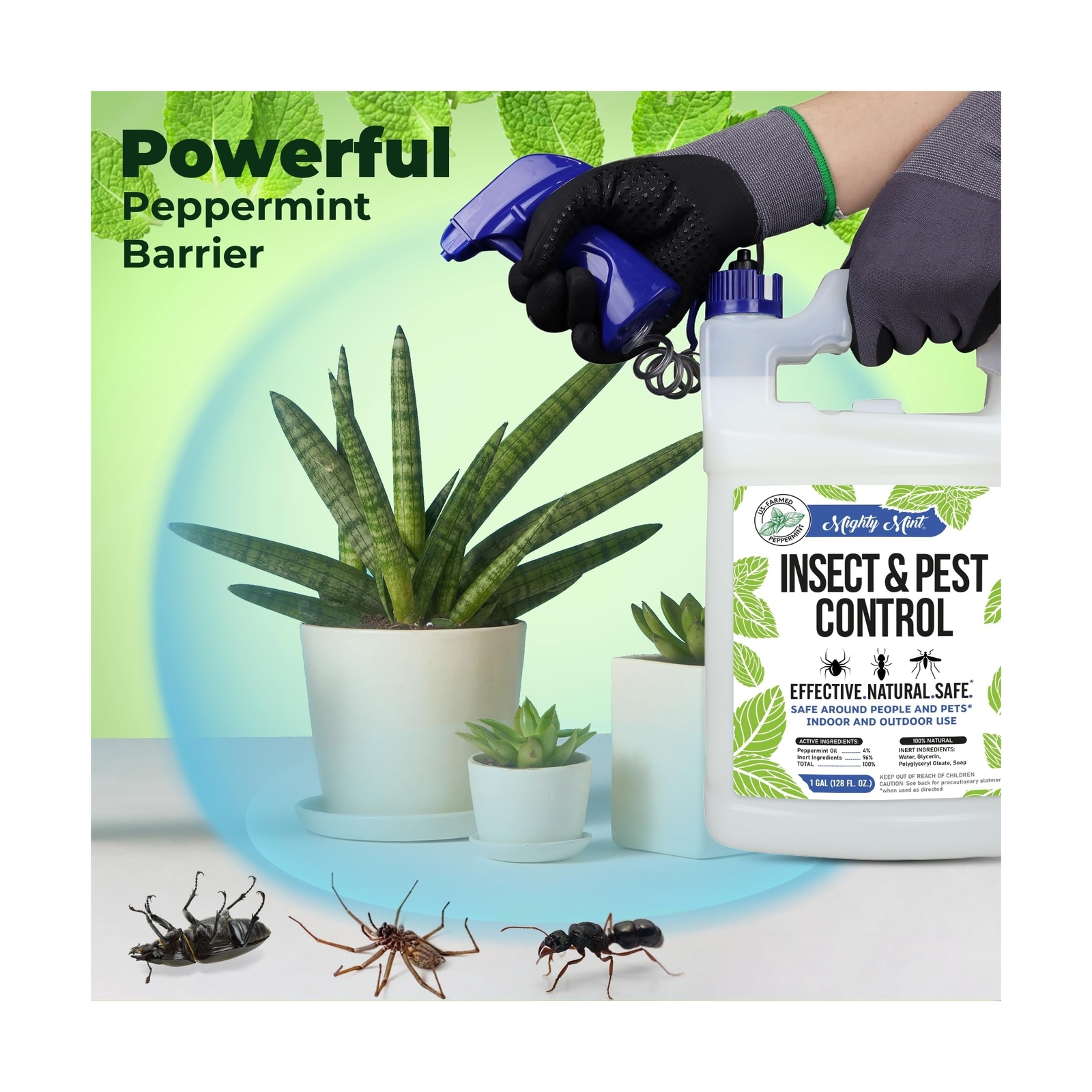 Mighty Mint Gallon (128 oz) Insect and Pest Control Peppermint Oil – Natural …