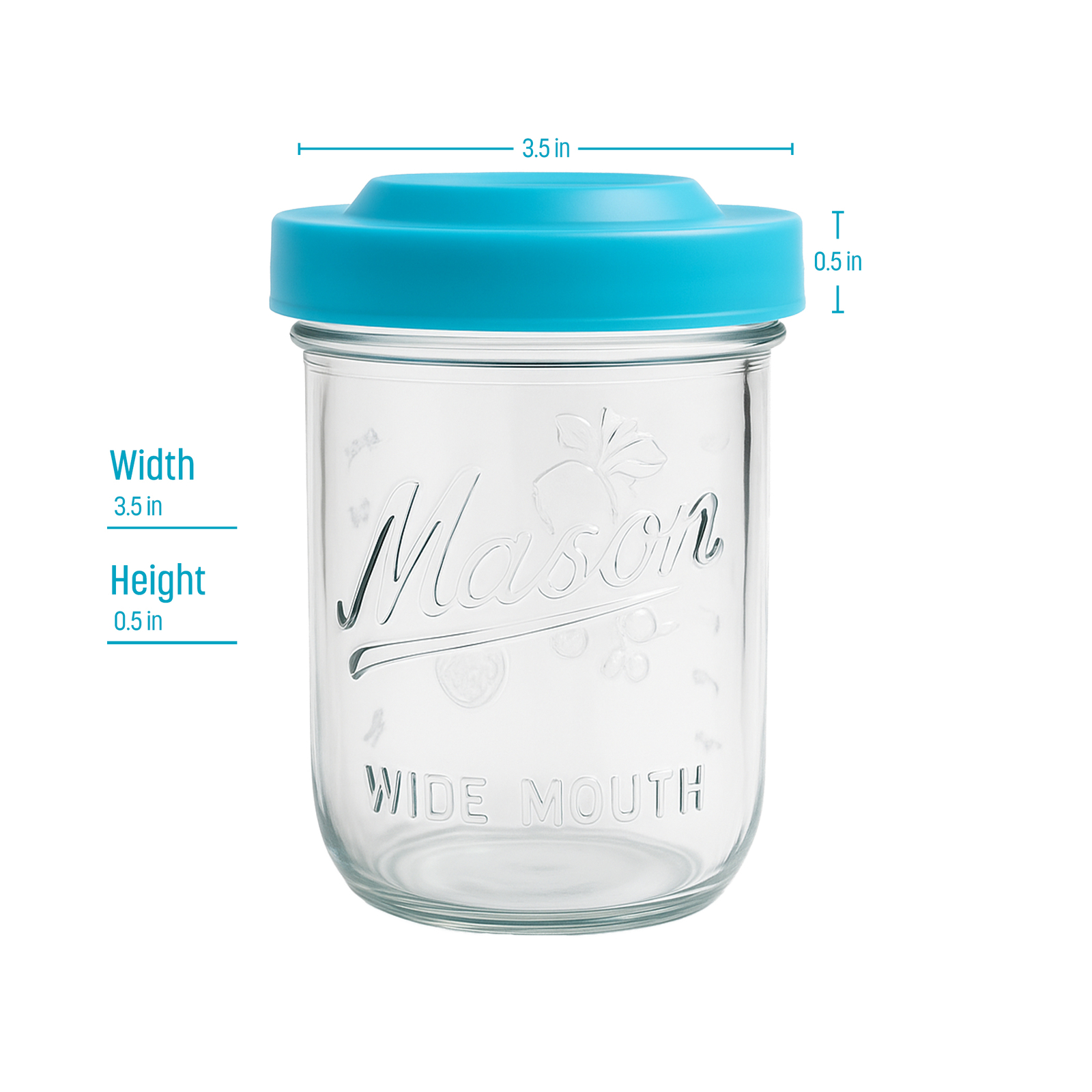 Fruit Fly Trap Lids for Wide Mouth Mason Jars