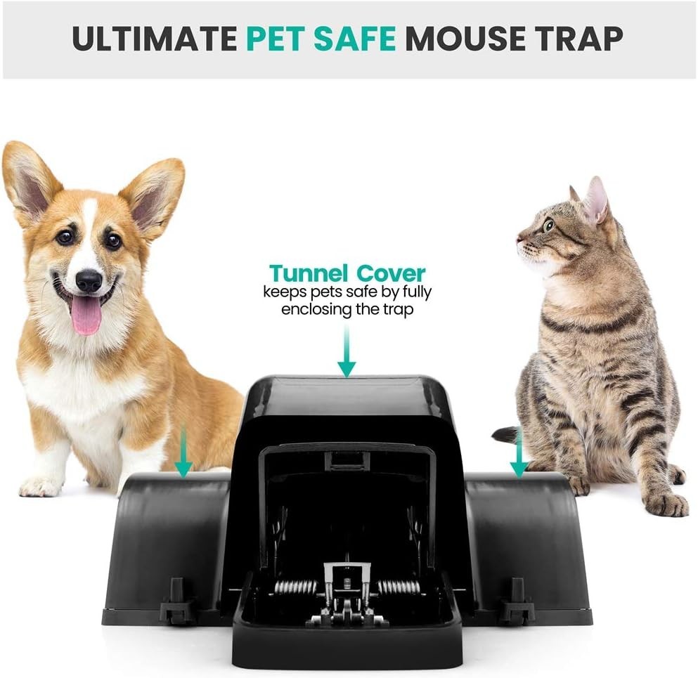 Pet-Safe & Child-Safe Rat Traps with Tunnel Design – 1 Pack for Instant Capture