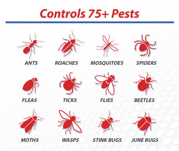 128 oz Bifen IT Insecticide Pest Control Stink Bugs Earwigs Generic Talstar
