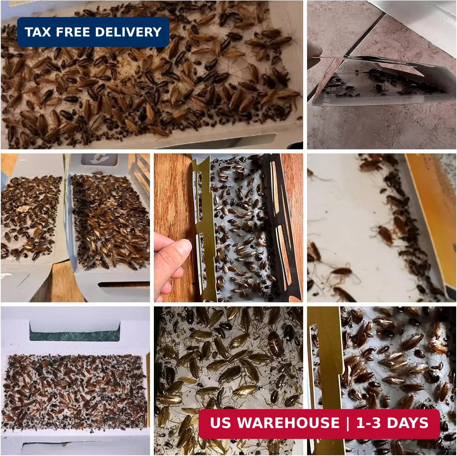 20 Pack Roach Traps, Cockroach Traps Indoor Home, Glue Roach Traps, Child & Pets