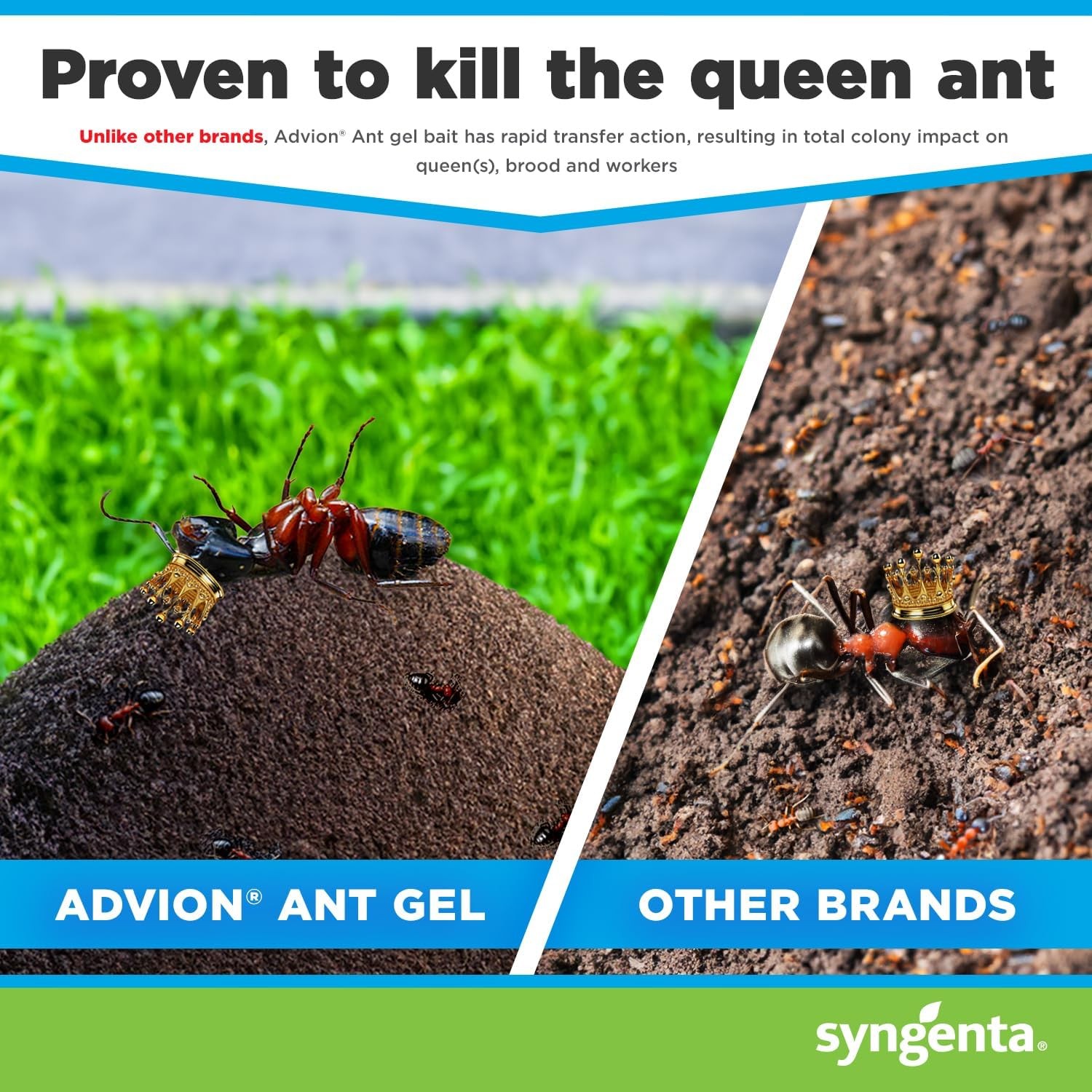Syngenta Advion Ant Gel Station Insecticide Indoor Outdoor Ant Bait 3 Stations